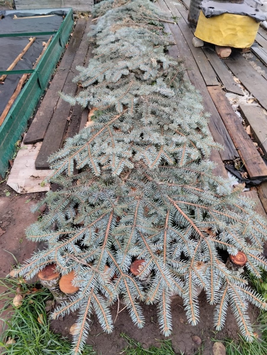 WhatsApp Image 2024-10-10 at 19.10.35.jpeg