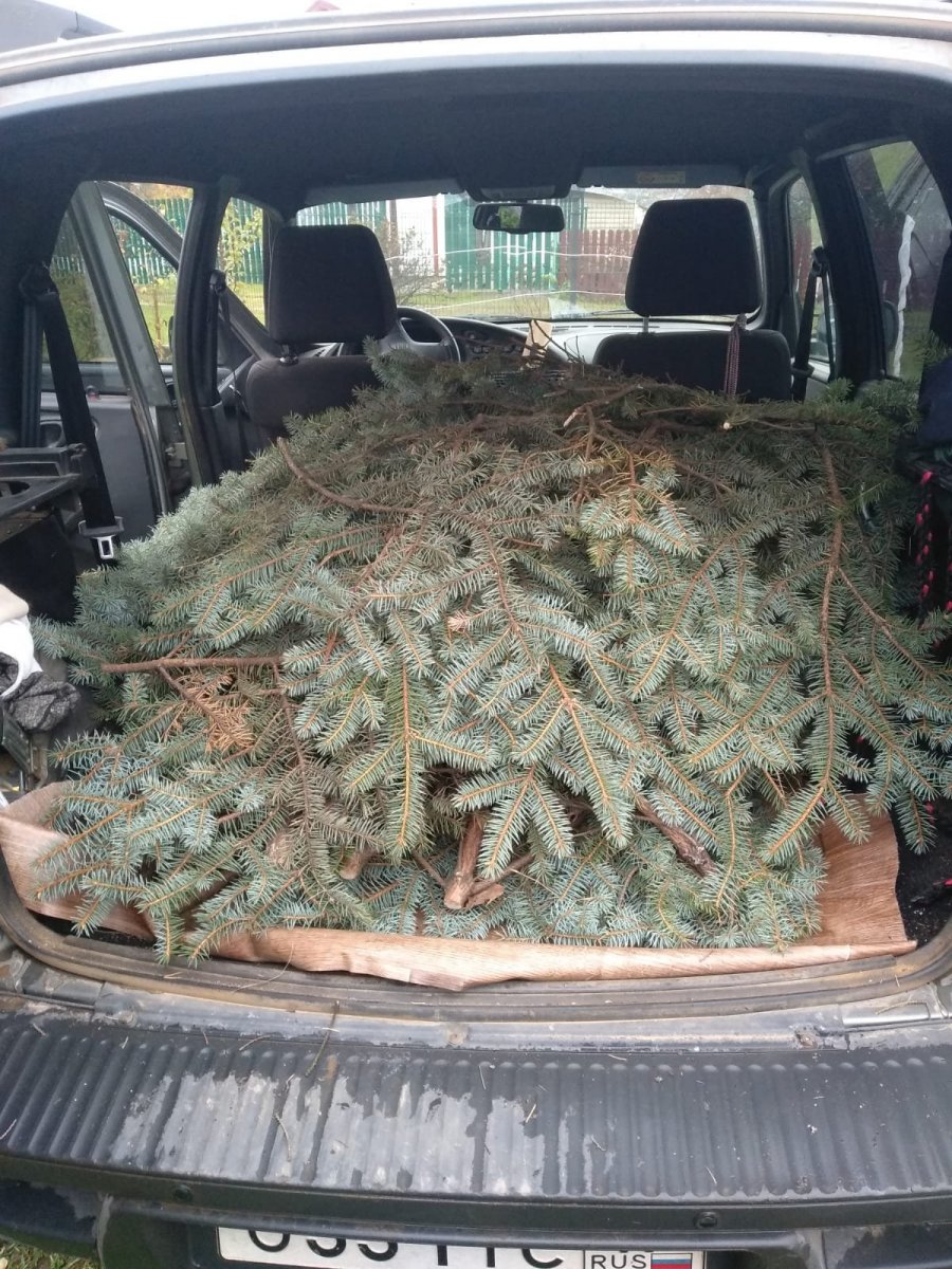 WhatsApp Image 2024-10-10 at 19.11.20.jpeg