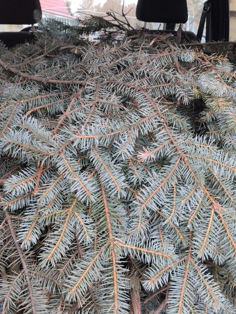 WhatsApp Image 2024-10-10 at 19.10.47.jpeg