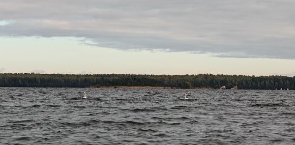 Туса 2024 осень