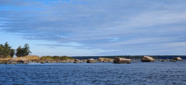 Туса 2024 осень