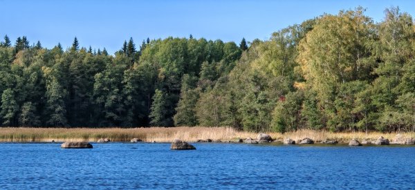 Туса 2024 осень