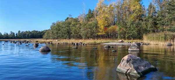 Туса 2024 осень