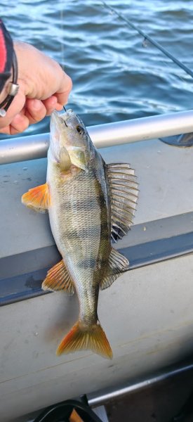 Туса 2024 осень