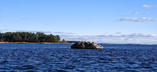 Туса 2024 осень