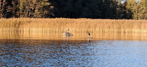 Туса 2024 осень