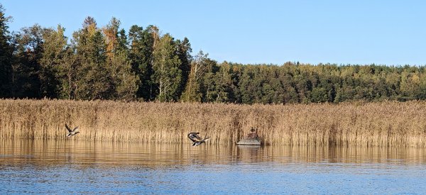 Туса 2024 осень