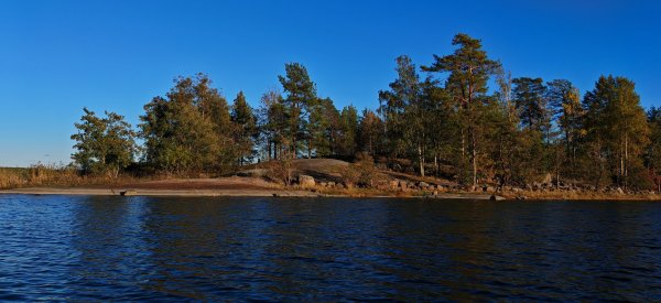 Туса 2024 осень