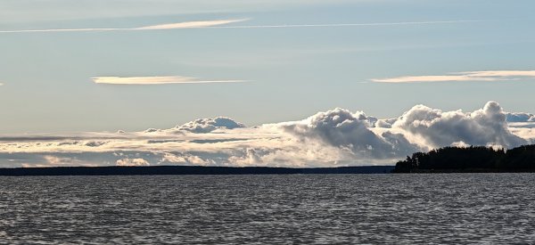 Туса 2024 осень