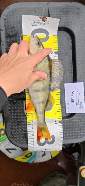 Туса 2024 осень