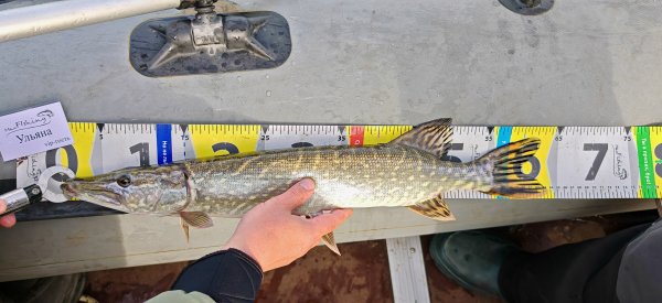 Туса 2024 осень