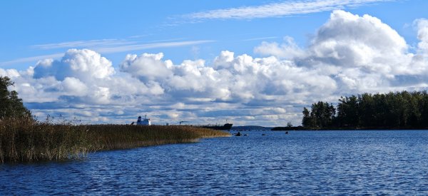 Туса 2024 осень