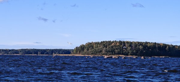 Туса 2024 осень