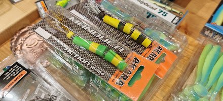 Туса 2024 осень