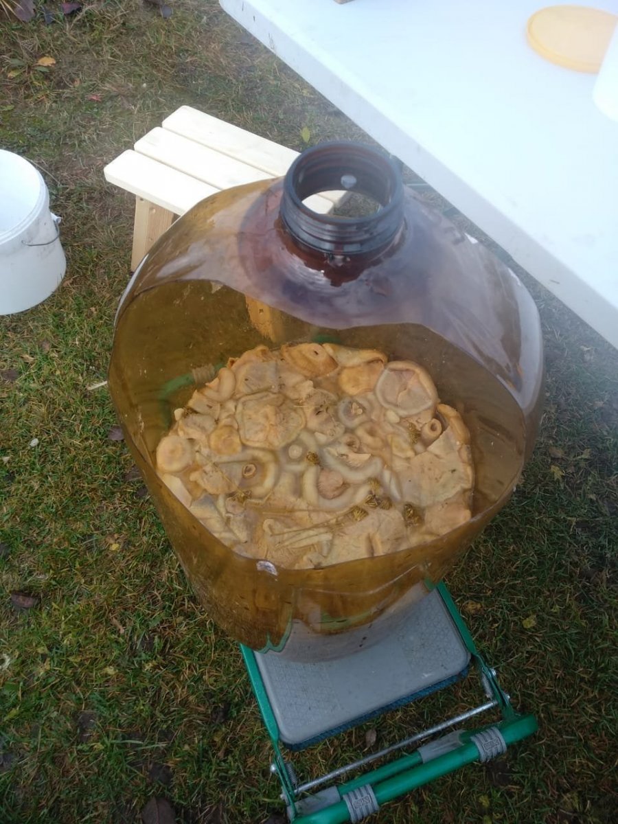 WhatsApp Image 2024-10-27 at 20.36.09(1).jpeg