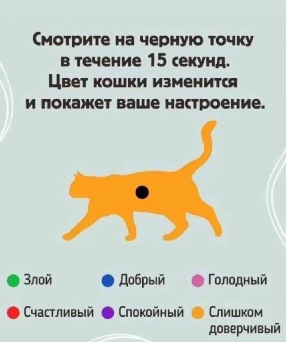 какого-цвета-получилась-кошка-в-вас-v0-j8zuw3aur93e1.webp