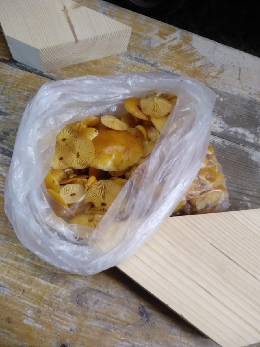 WhatsApp Image 2024-11-13 at 08.57.22.jpeg