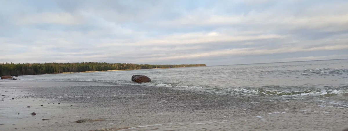 image.thumb.png.3e04dec64a73dbf55d056ac2c749396b.png