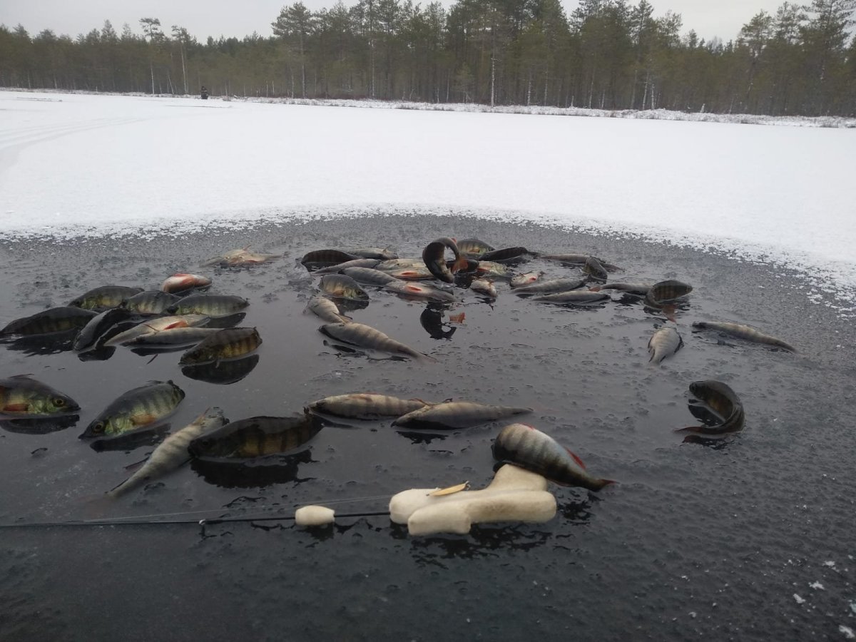 WhatsApp Image 2024-12-08 at 11.55.01.jpeg