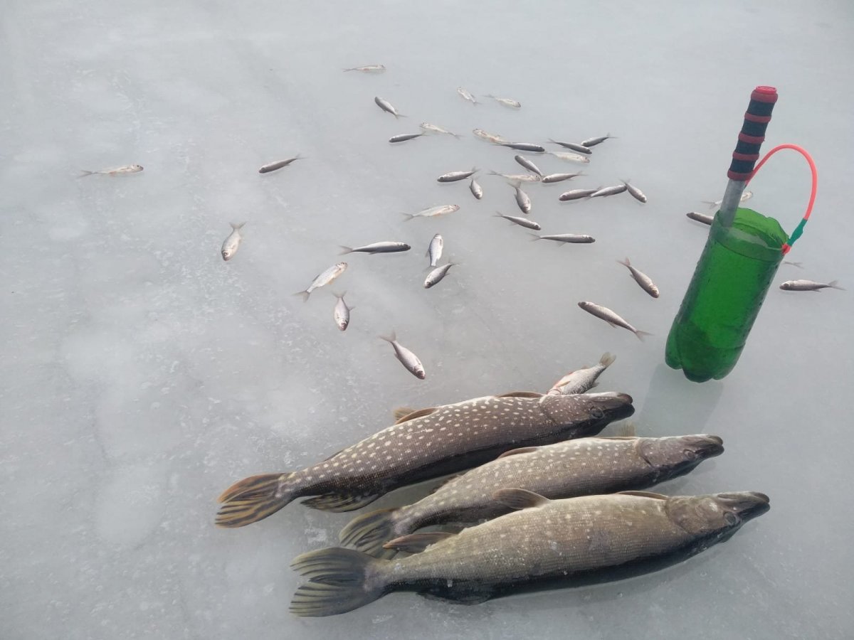 WhatsApp Image 2024-12-28 at 19.39.12.jpeg