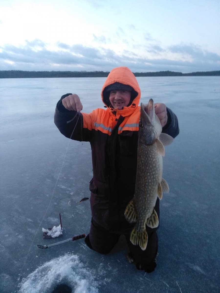 WhatsApp Image 2024-12-31 at 19.38.06(1).jpeg