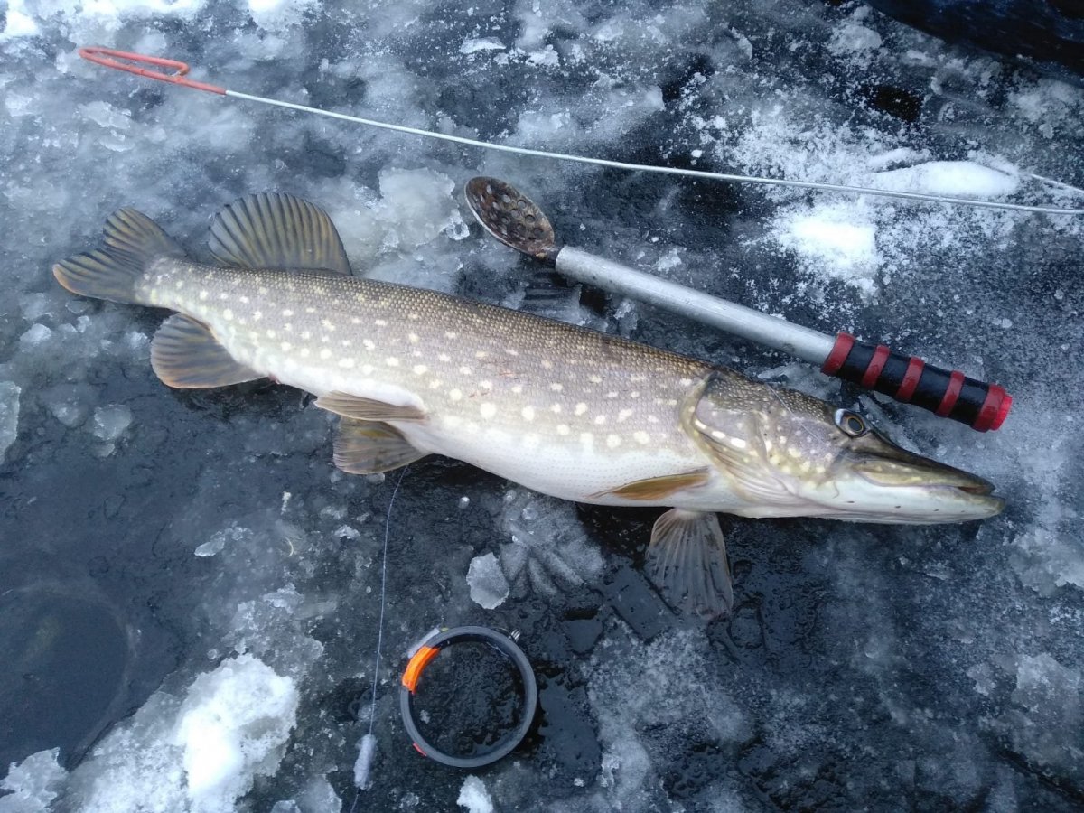 WhatsApp Image 2024-12-09 at 19.00.19(1).jpeg