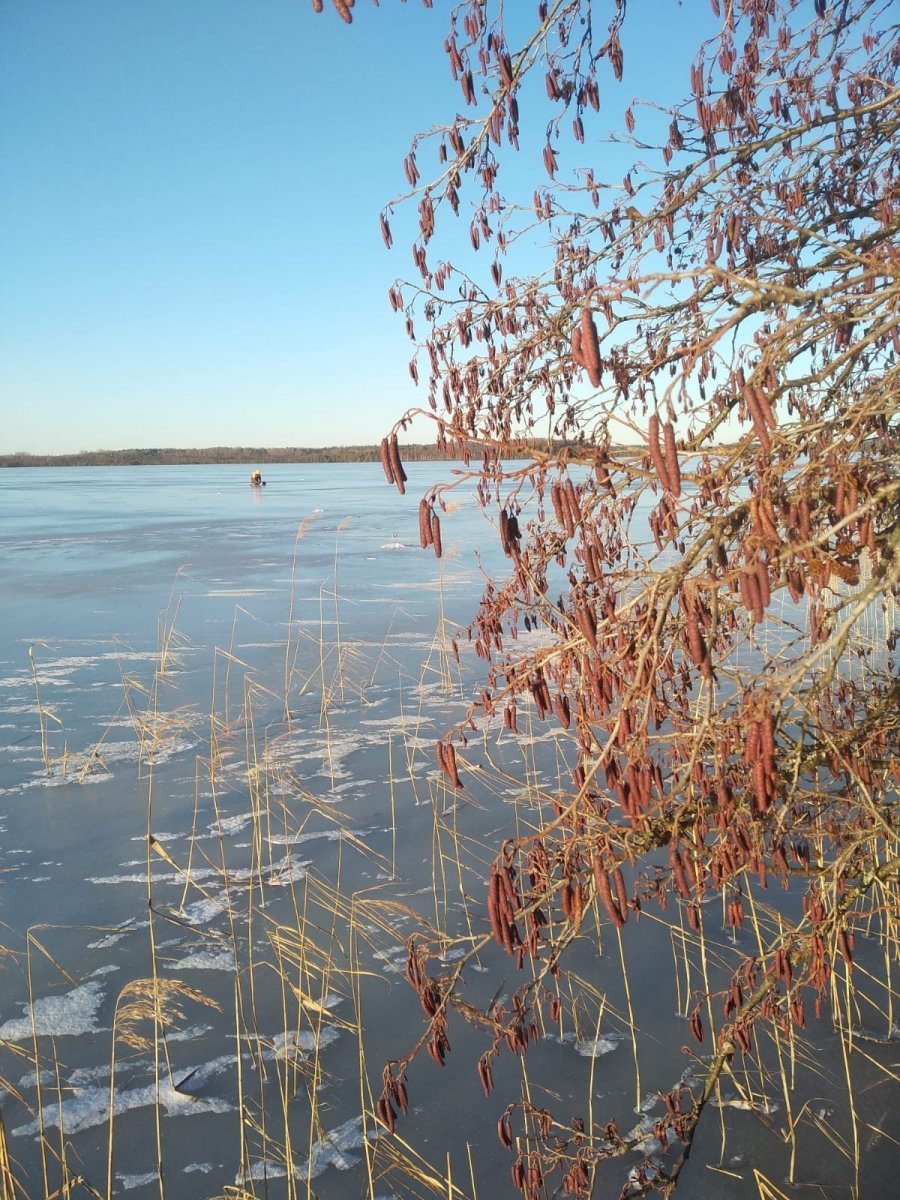 WhatsApp Image 2024-12-31 at 19.38.05(1).jpeg