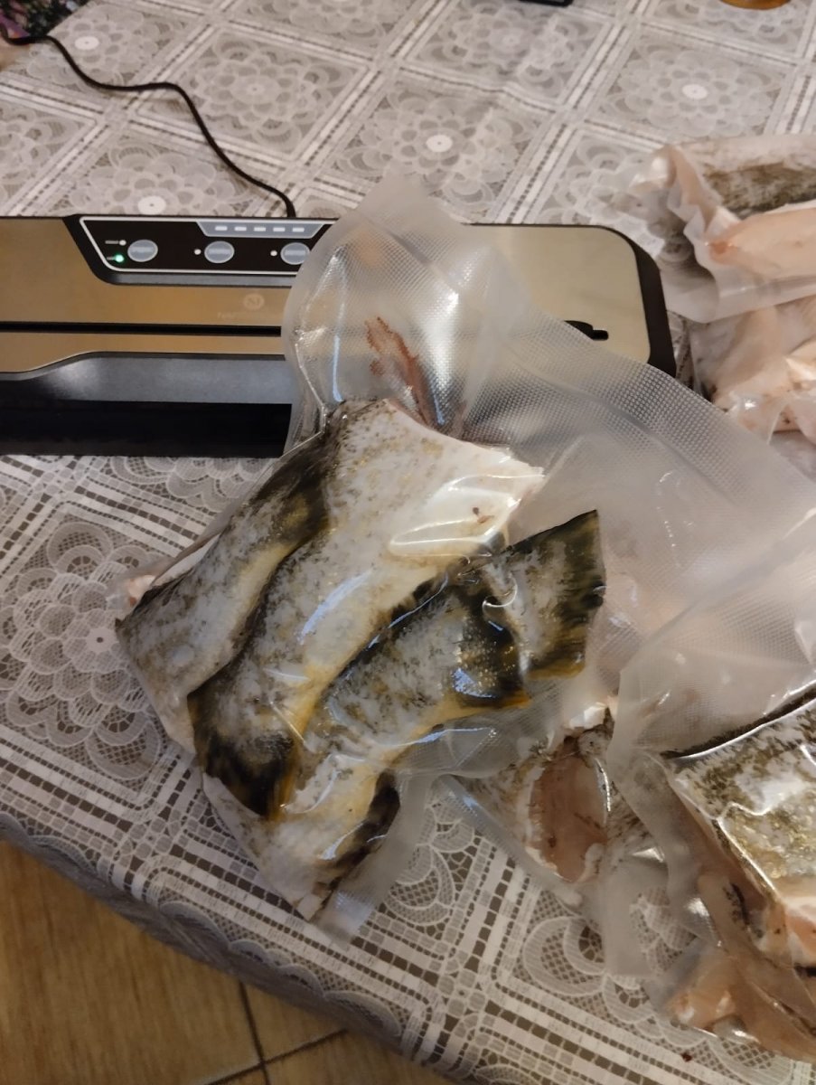 WhatsApp Image 2024-12-22 at 21.04.21.jpeg