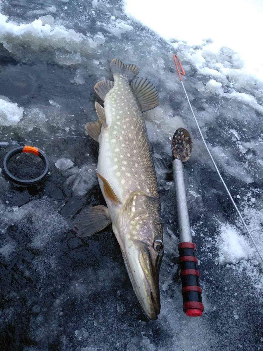 WhatsApp Image 2024-12-09 at 19.00.19(2).jpeg