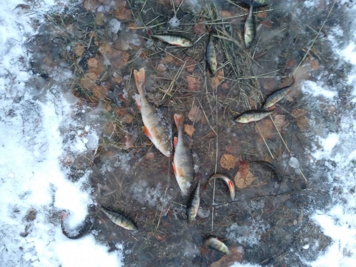 WhatsApp Image 2024-12-09 at 19.00.20(2).jpeg