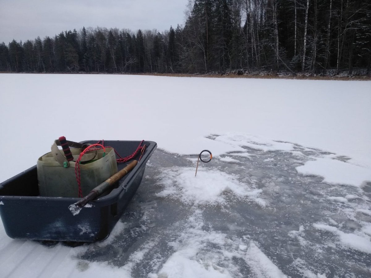 WhatsApp Image 2024-12-09 at 19.00.20(1).jpeg