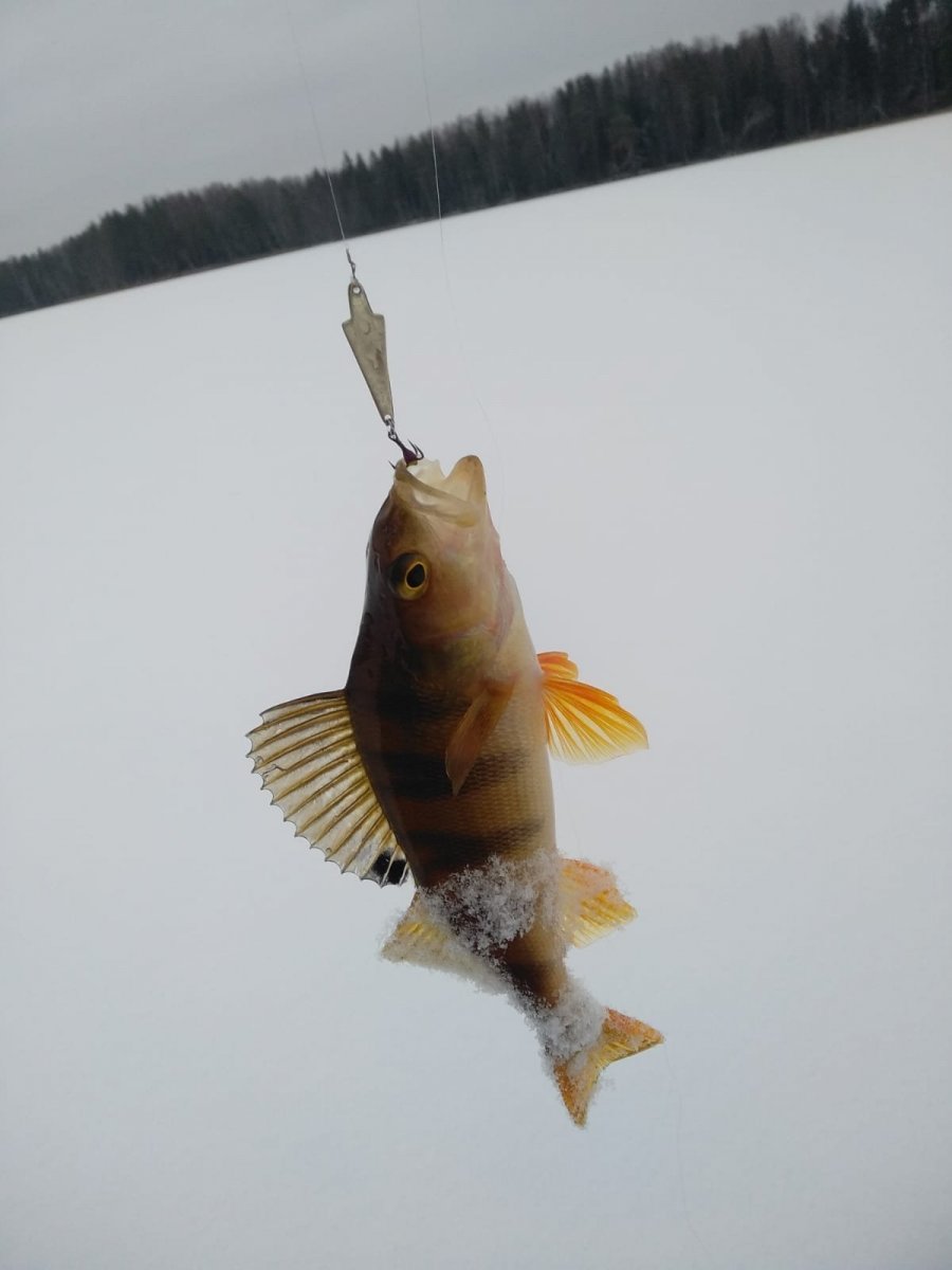 WhatsApp Image 2024-12-09 at 19.00.21(1).jpeg