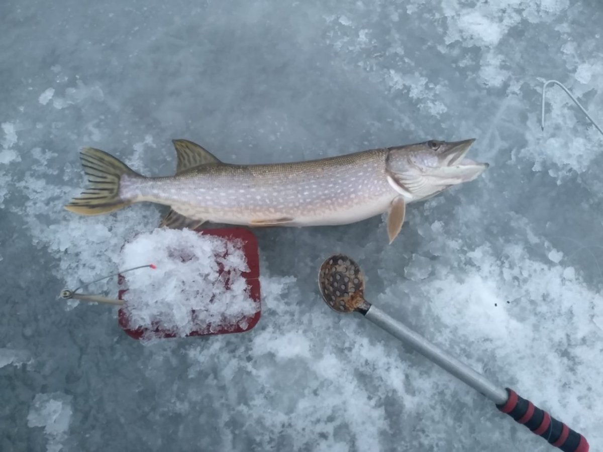 WhatsApp Image 2024-12-22 at 19.07.54.jpeg