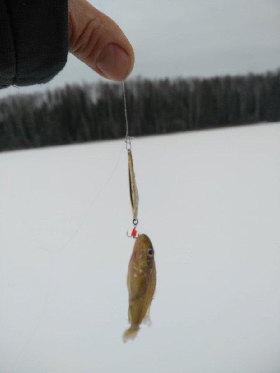 WhatsApp Image 2024-12-09 at 19.00.21.jpeg