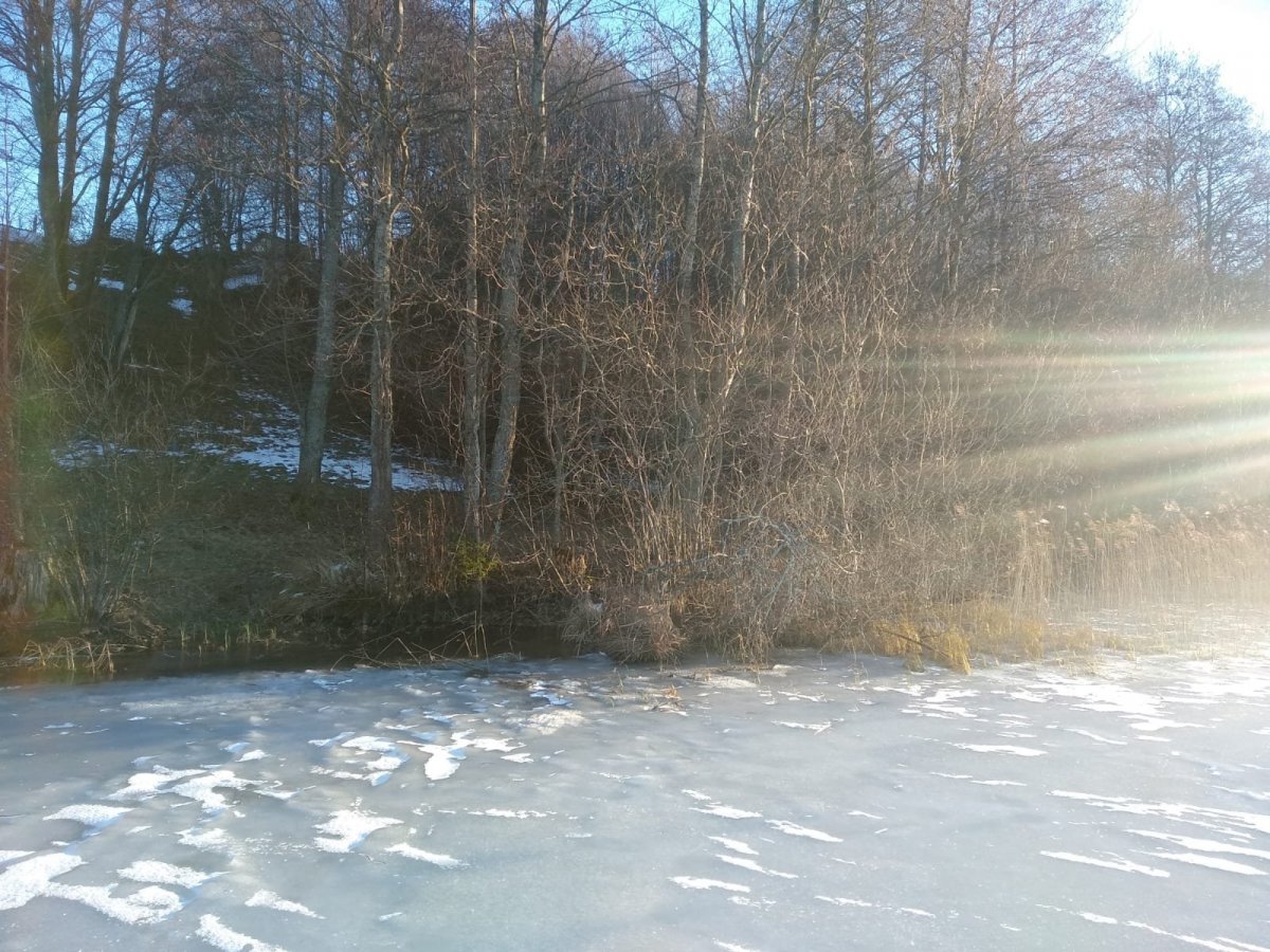 WhatsApp Image 2024-12-31 at 19.38.05(2).jpeg