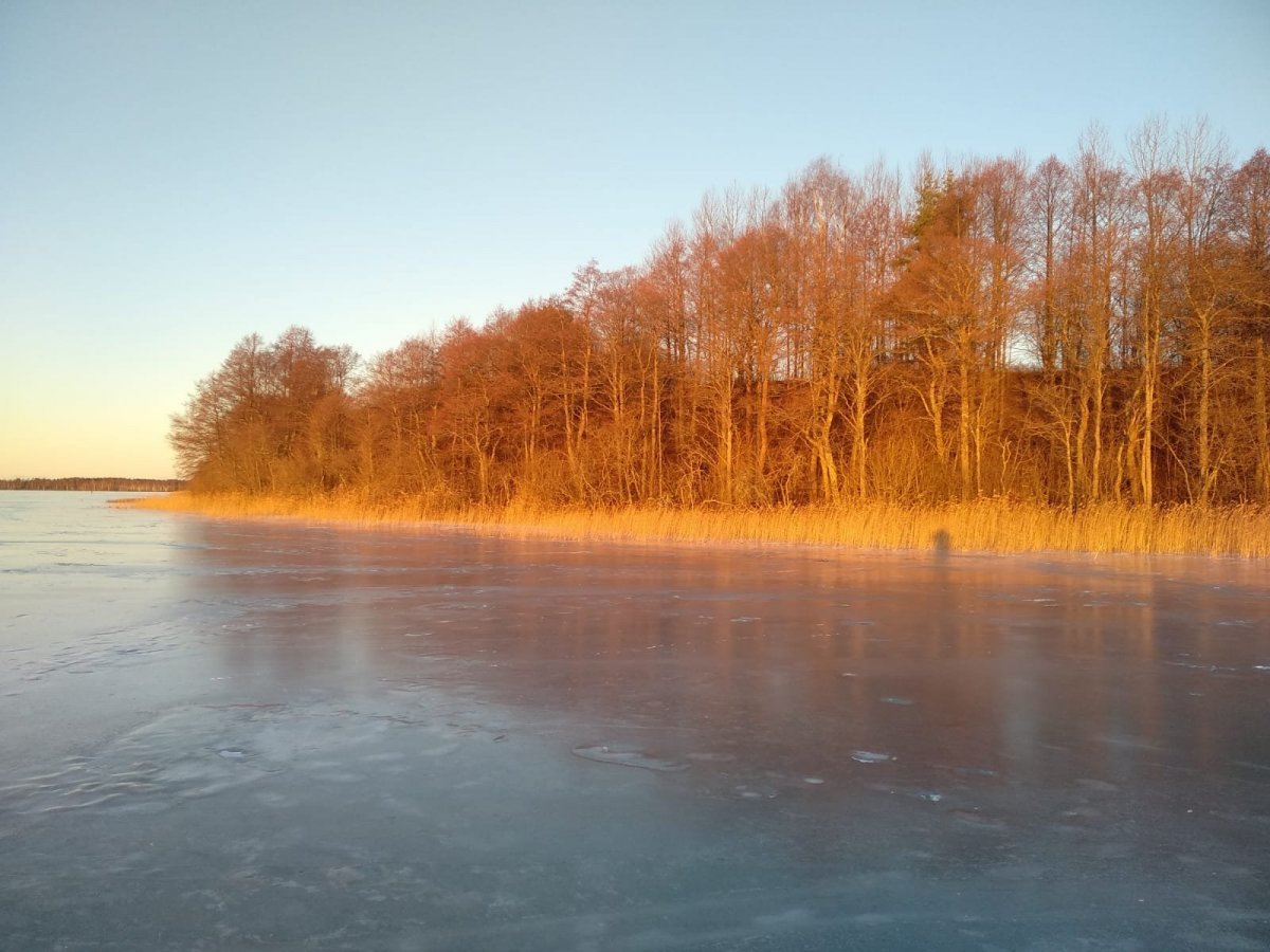 WhatsApp Image 2024-12-31 at 19.38.03.jpeg