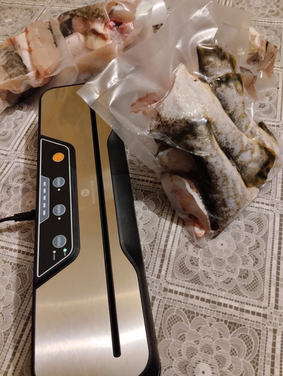 WhatsApp Image 2024-12-22 at 21.04.27.jpeg