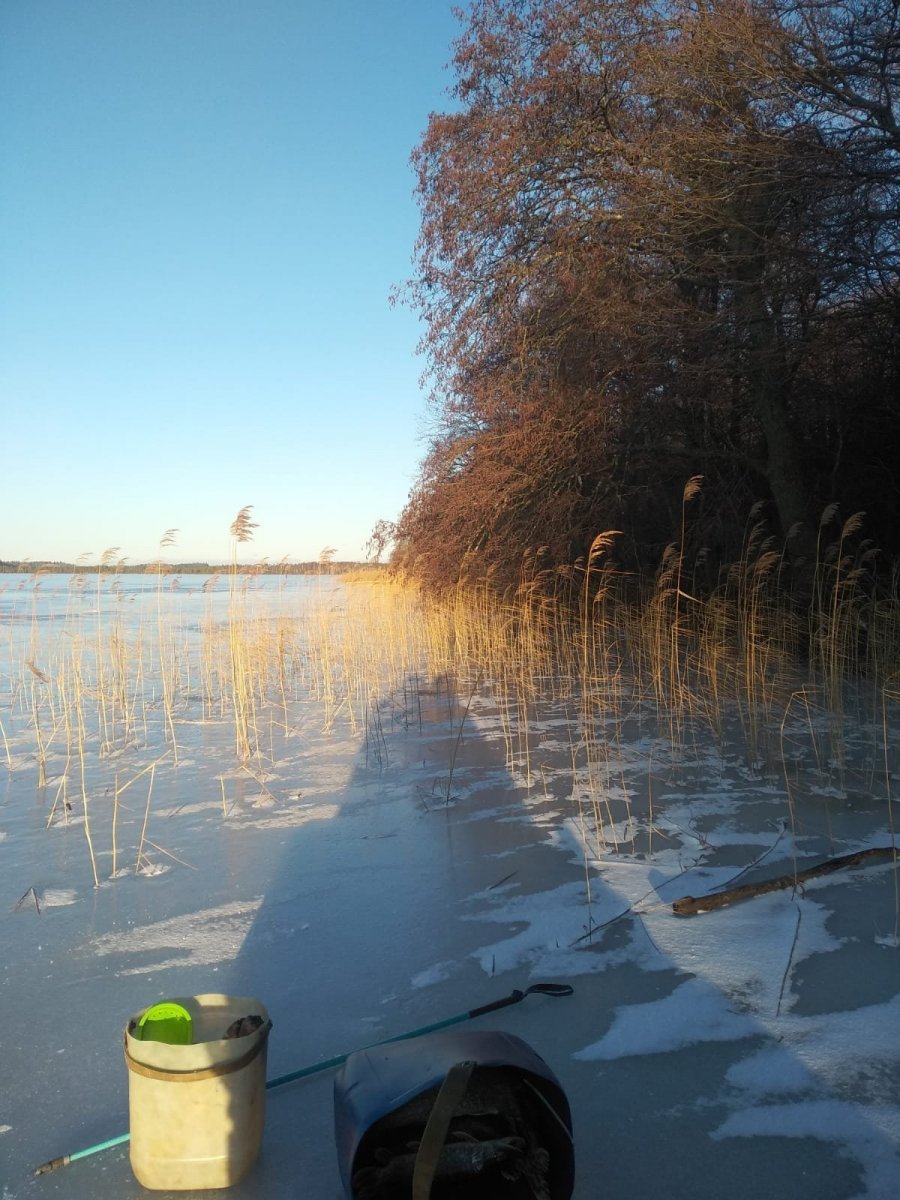 WhatsApp Image 2024-12-31 at 19.38.06.jpeg