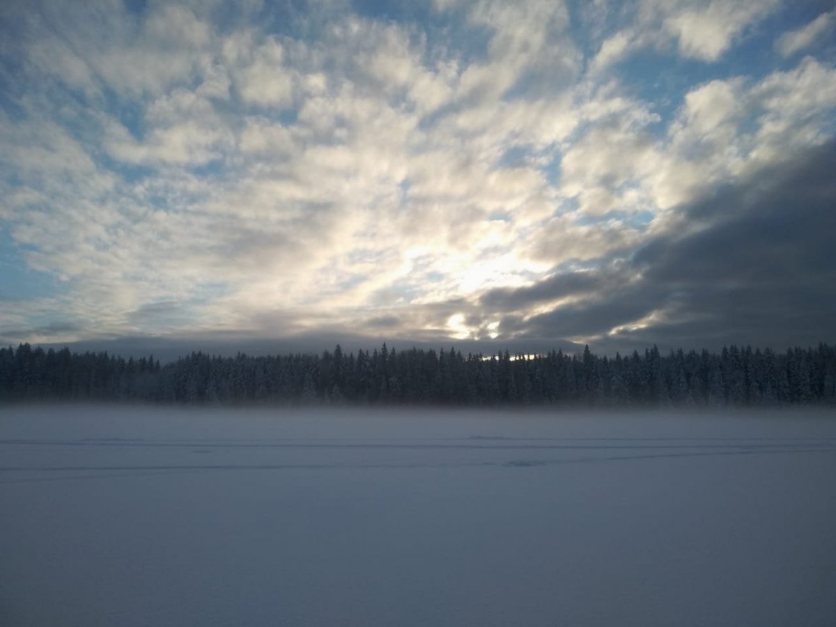 WhatsApp Image 2025-01-10 at 08.40.03(1).jpeg