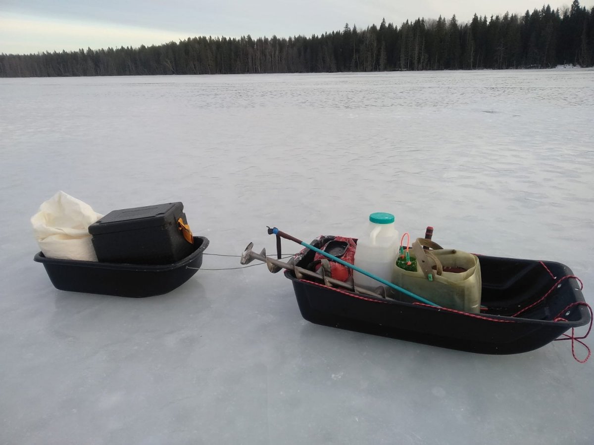 WhatsApp Image 2025-01-21 at 17.41.01(3).jpeg