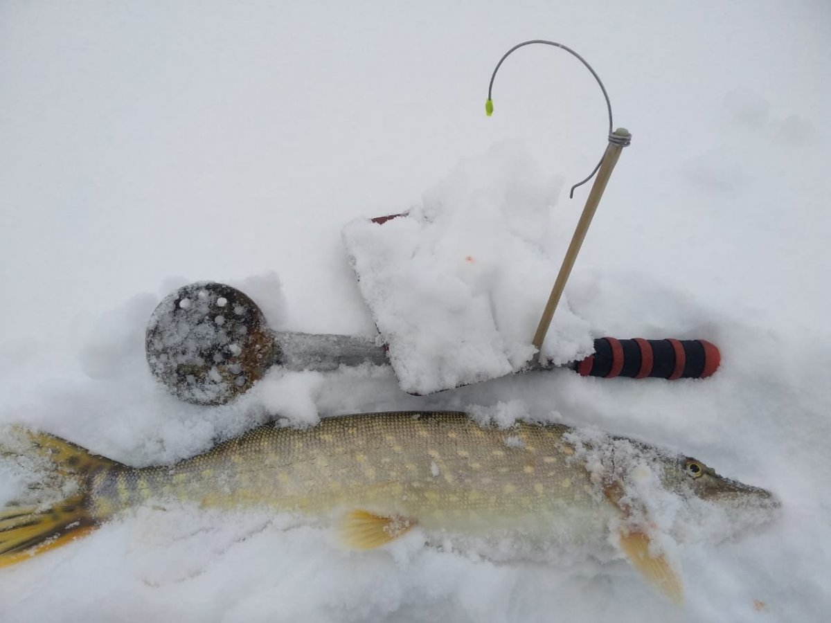 WhatsApp Image 2025-01-10 at 08.40.02.jpeg