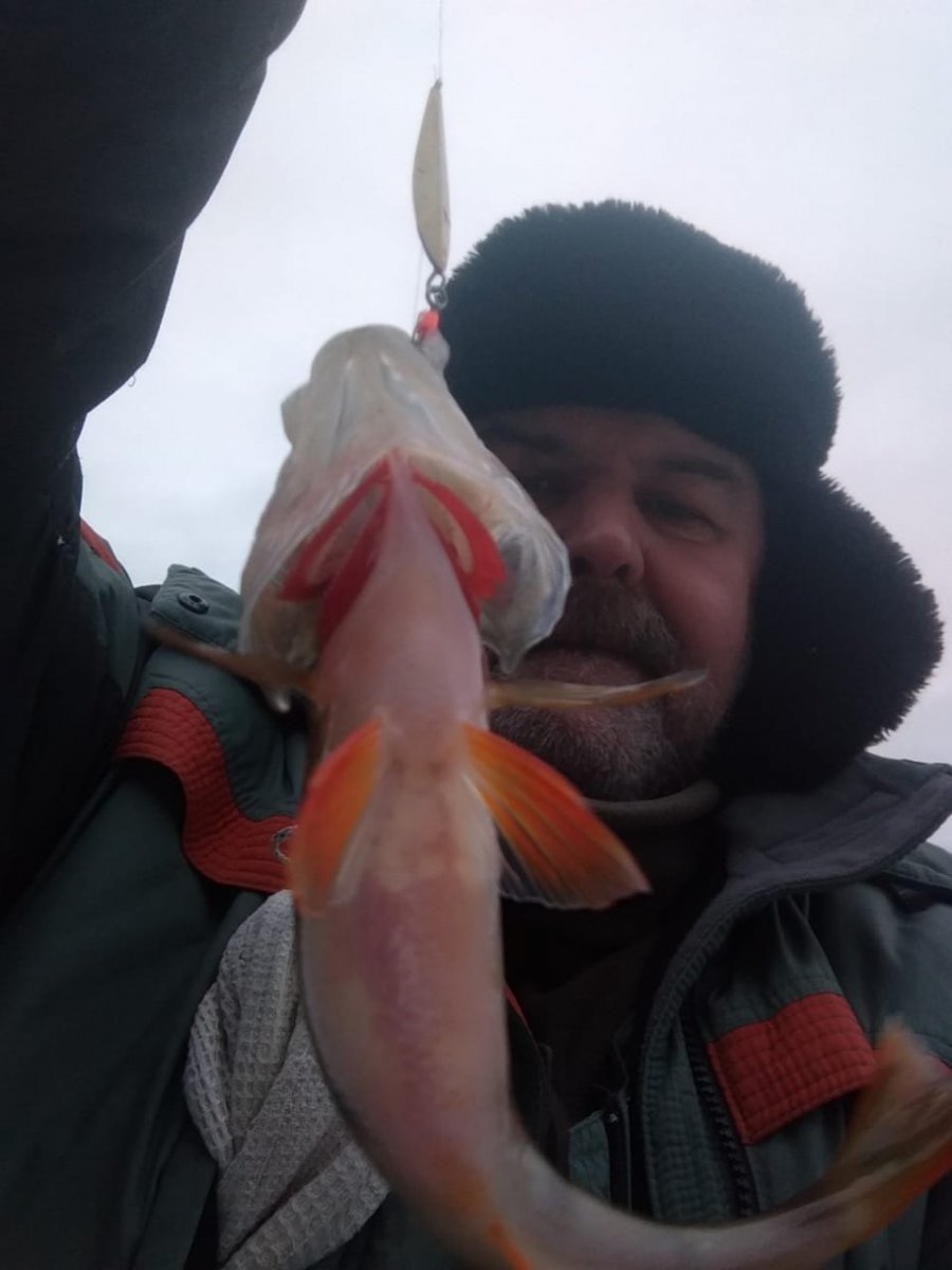 WhatsApp Image 2025-01-01 at 12.58.33(1).jpeg