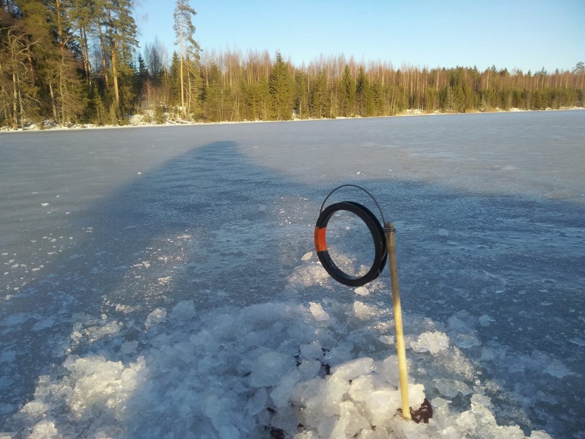 WhatsApp Image 2025-01-19 at 19.45.32.jpeg