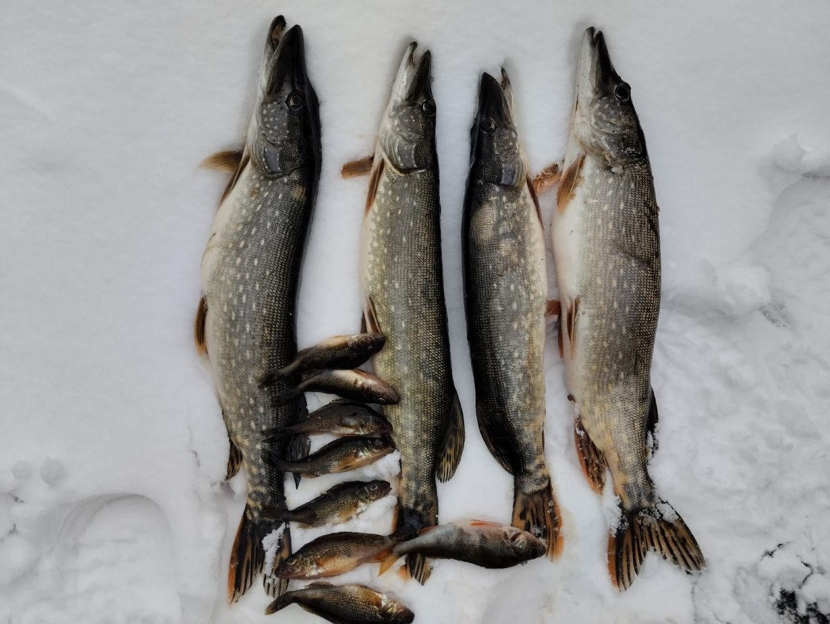 WhatsApp Image 2025-01-25 at 20.03.11.jpeg