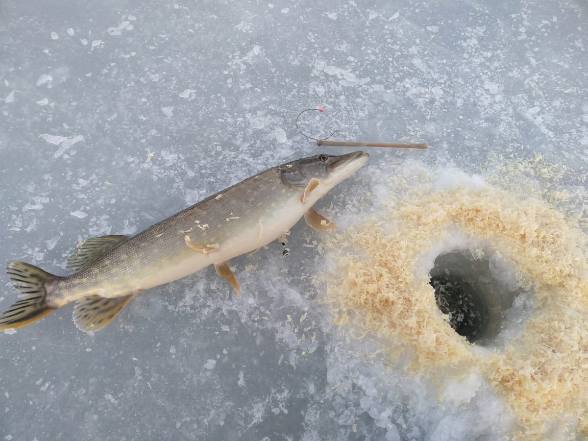 WhatsApp Image 2025-01-21 at 17.41.02(2).jpeg