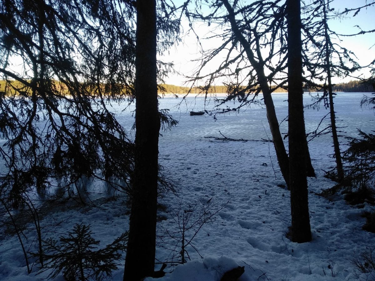 WhatsApp Image 2025-01-19 at 19.45.31.jpeg