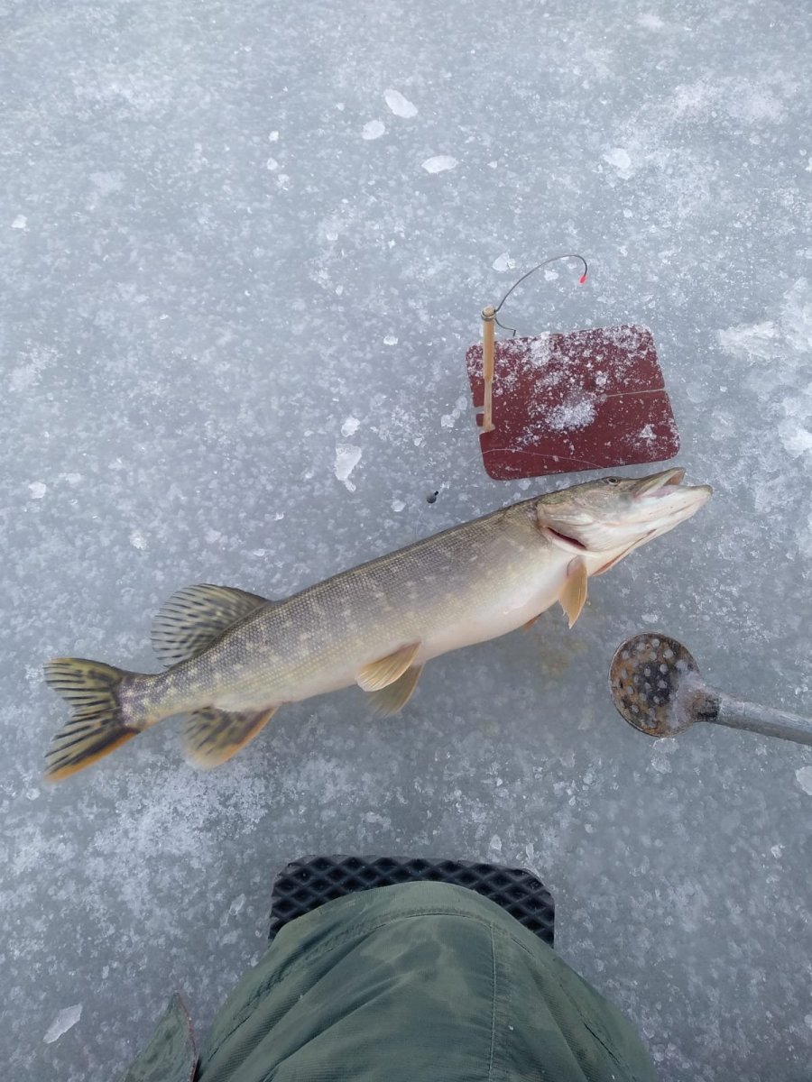 WhatsApp Image 2025-01-19 at 19.45.32(1).jpeg