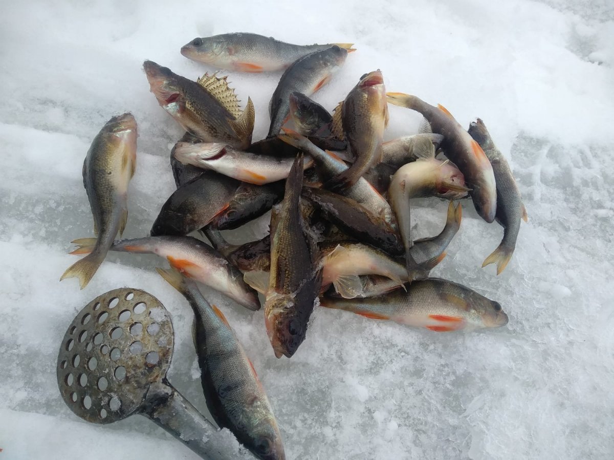 WhatsApp Image 2025-01-25 at 19.56.11.jpeg