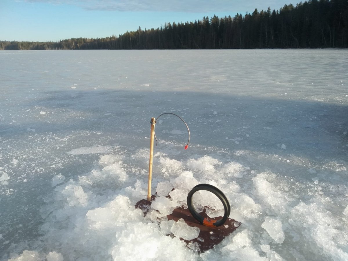 WhatsApp Image 2025-01-19 at 19.45.30.jpeg