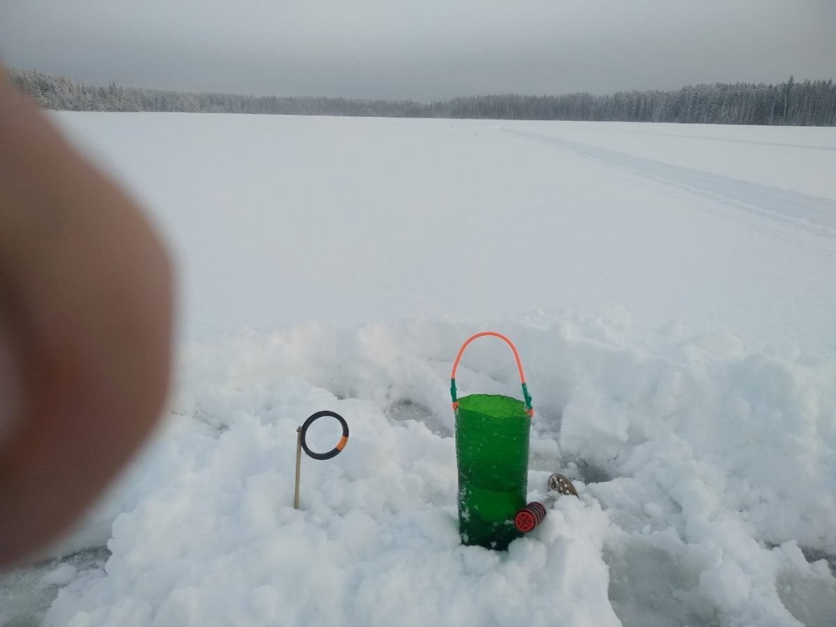 WhatsApp Image 2025-01-10 at 08.40.04.jpeg